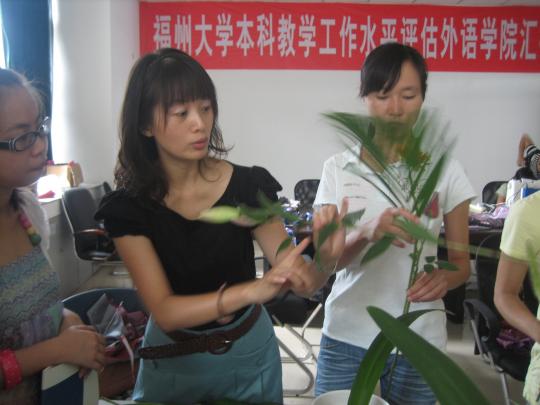 博彩平台
