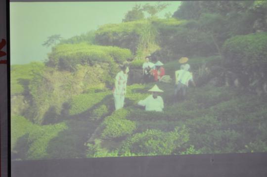 博彩平台