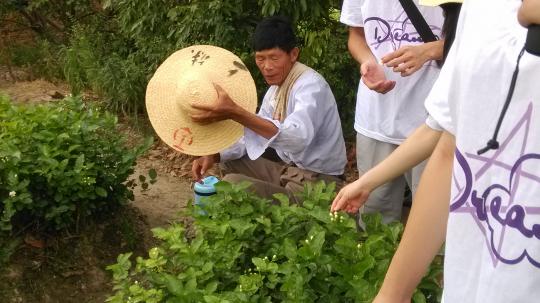博彩平台